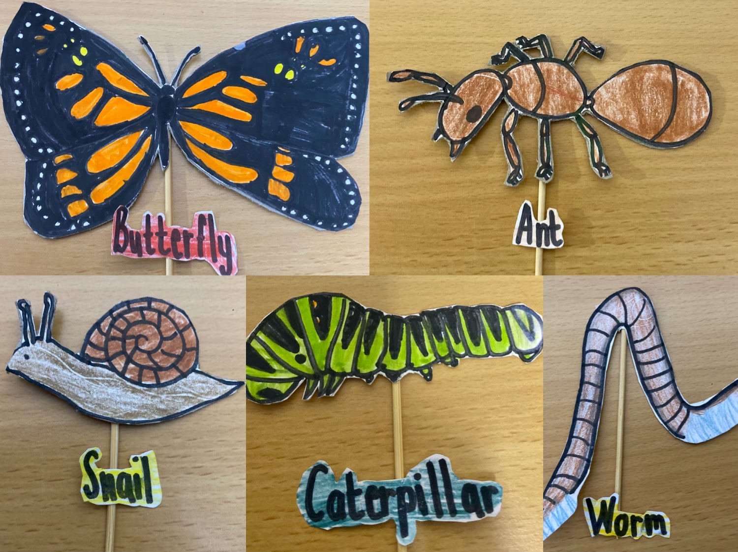 Invertebrate animals